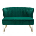 Elegantes 2-Sitzer Samtsofa mit goldenen Beinen für Wohnzimmer und Schlafzimmer